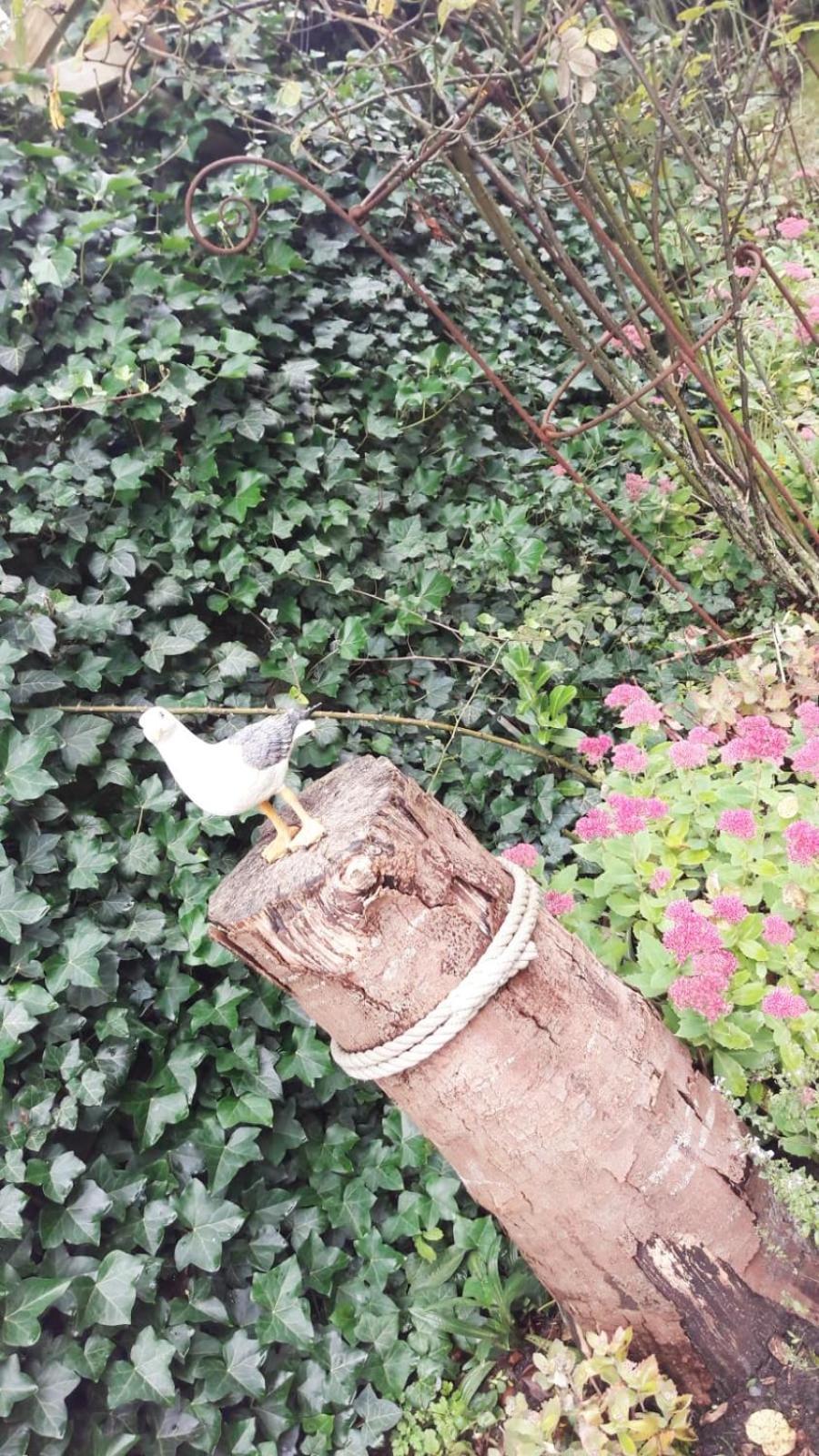 보르델룸 Heimathafen 빌라 외부 사진